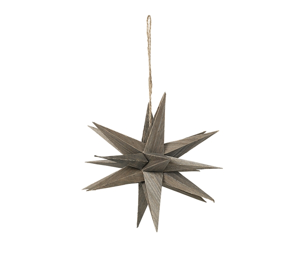 Venus Star Ornament