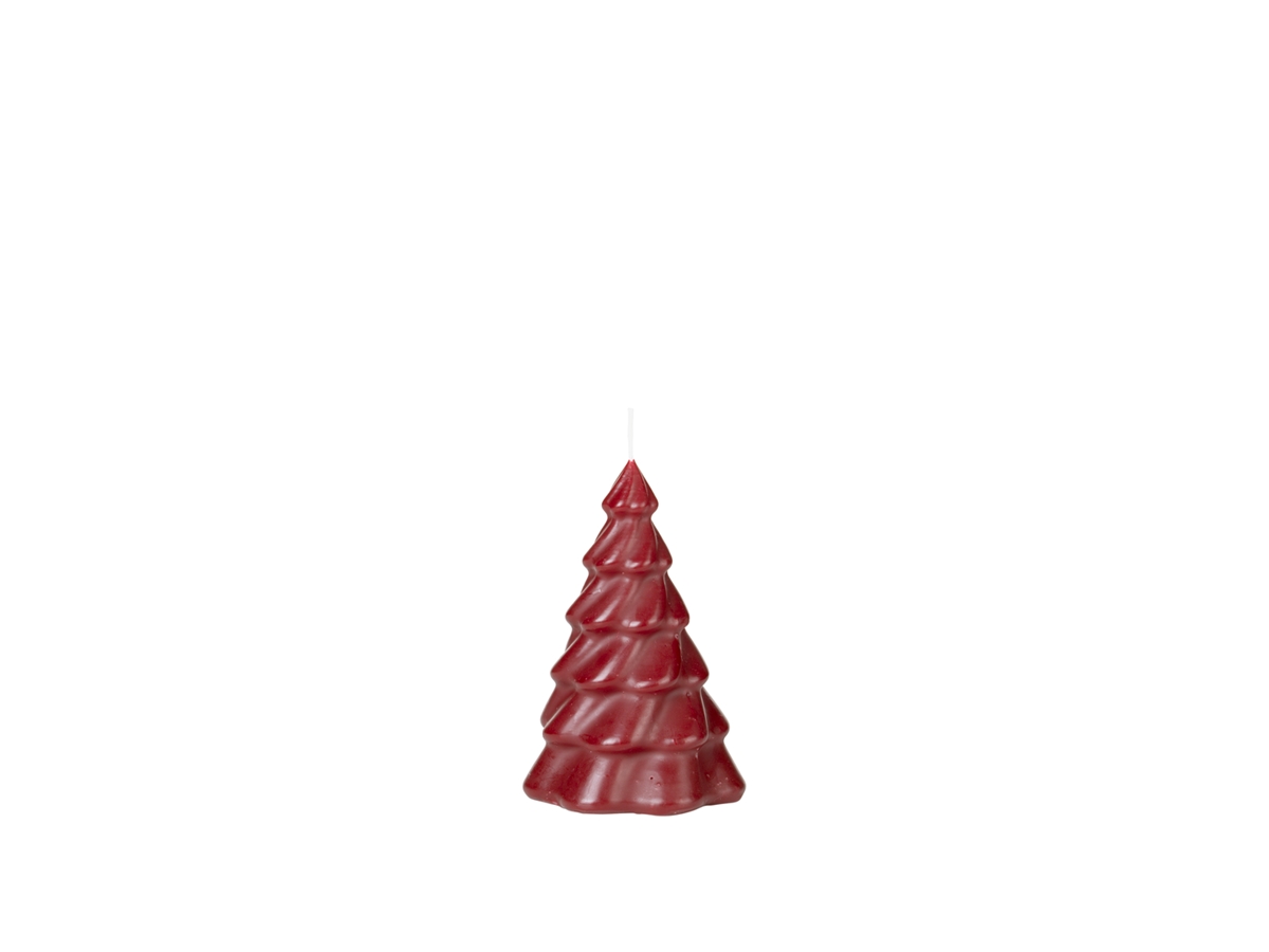 Pinus Christmas Tree Candle