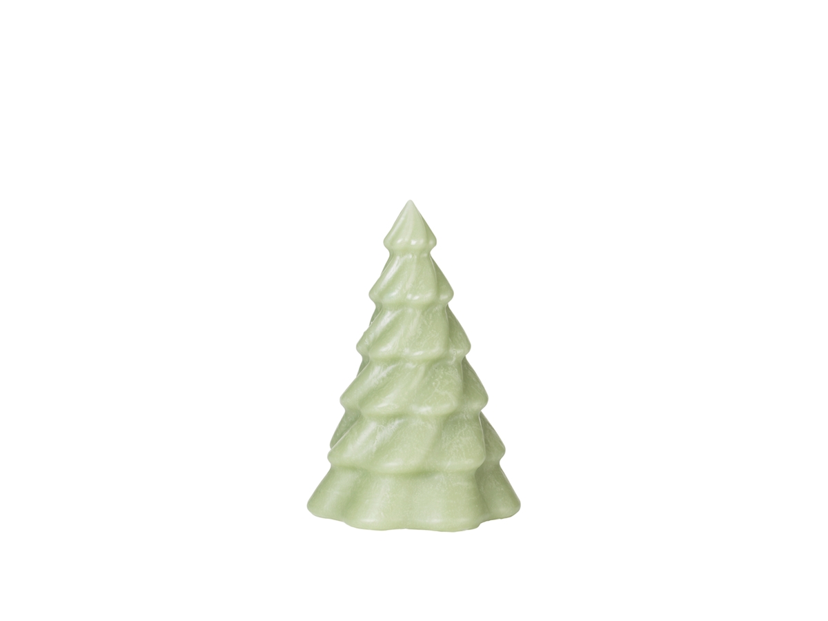 Pinus Christmas Tree Candle