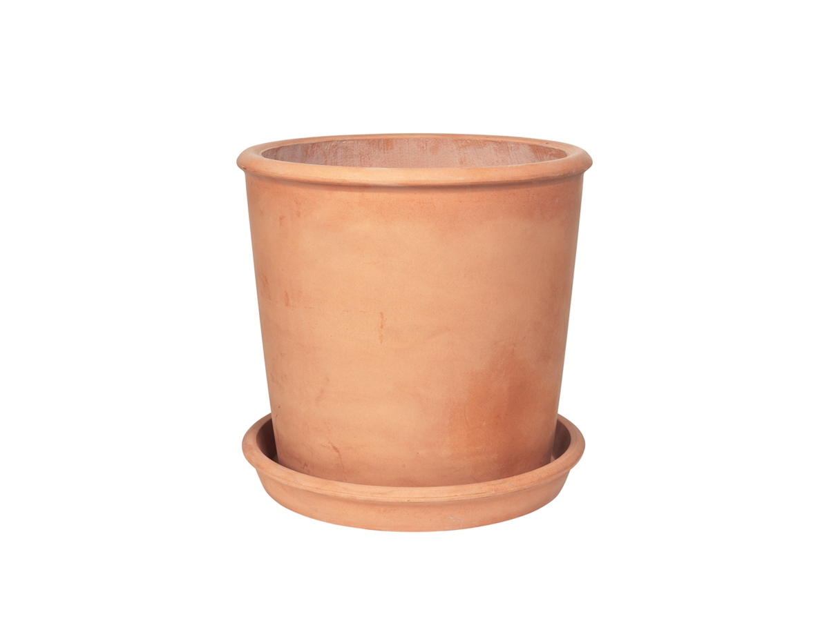 Rolf Planter