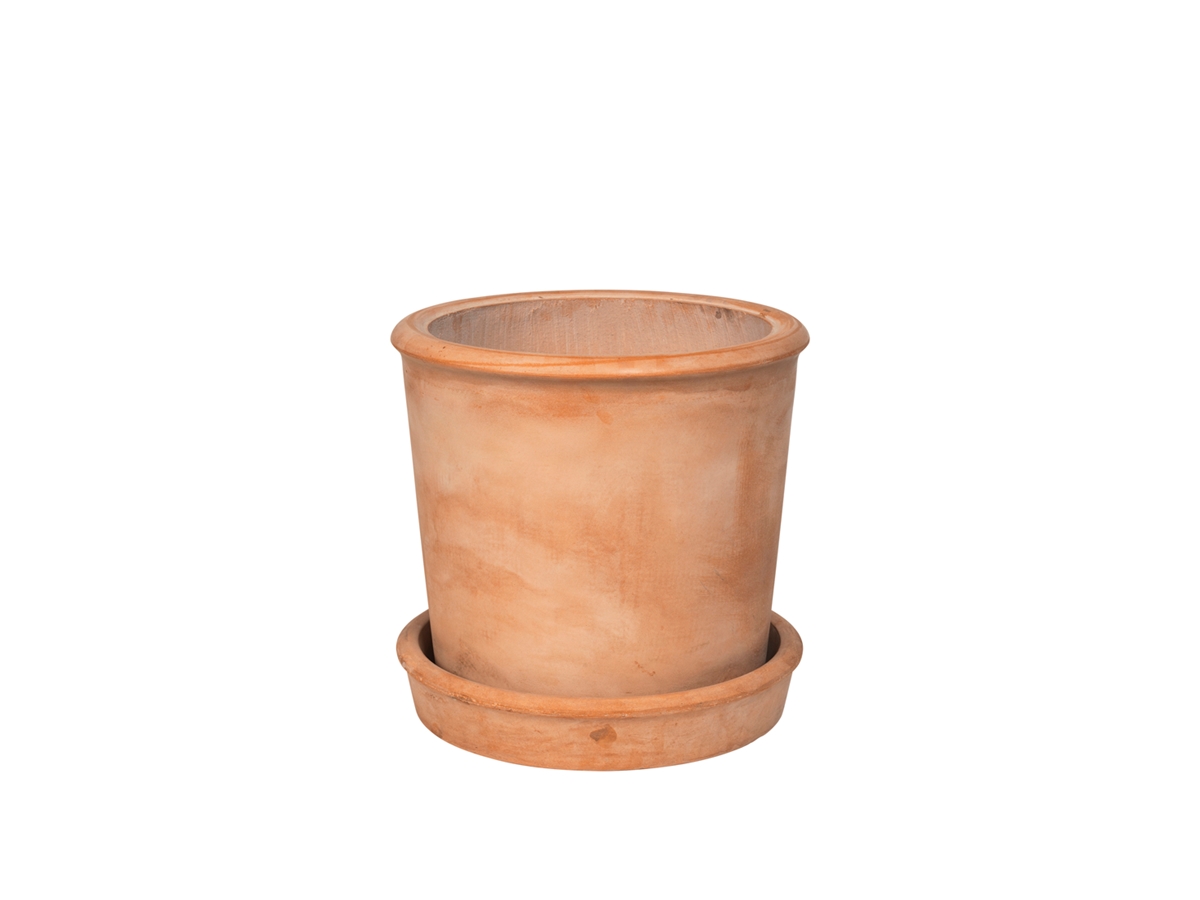 Rolf Planter